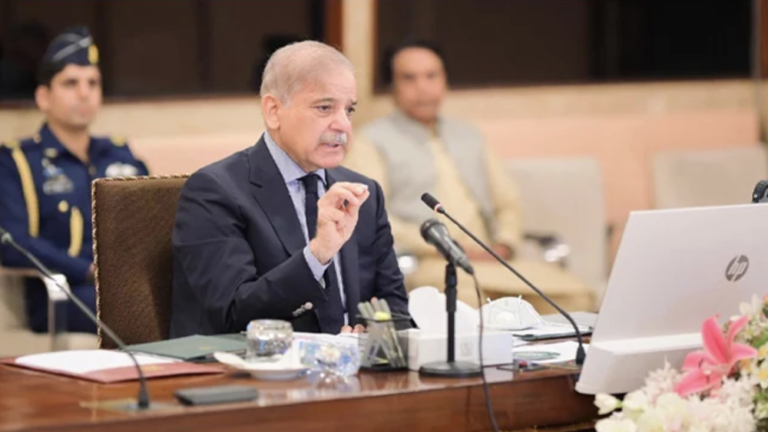  افغانستان سے گھس بیٹھیئے پاکستان میں کارروائیاں کررہے ہیں، وزیراعظم